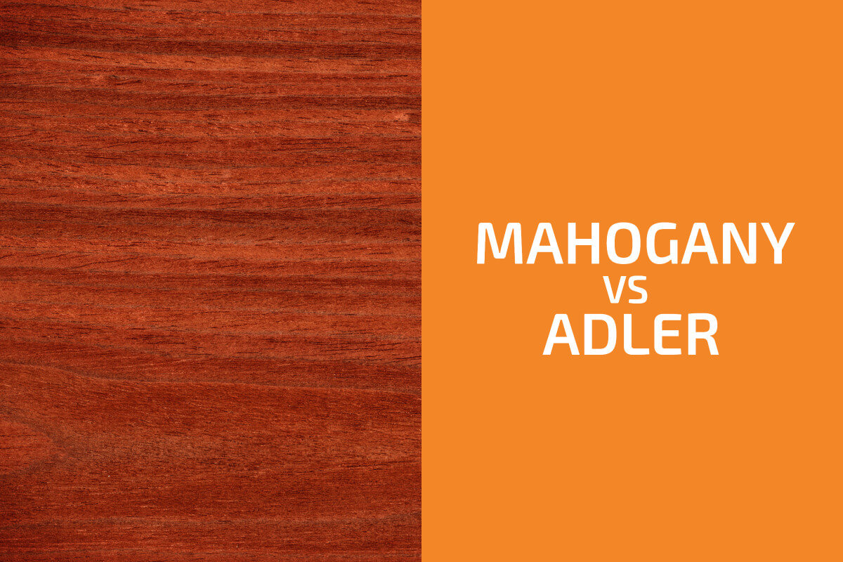 Mahogany vs. Alder: Which One to Use?